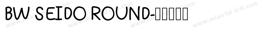 BW SEIDO ROUND字体转换